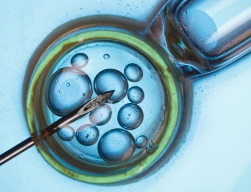 The laws surrounding Posthumous IVF Conception