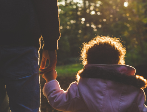 How is the voice of the child heard in Family Law parenting matters?