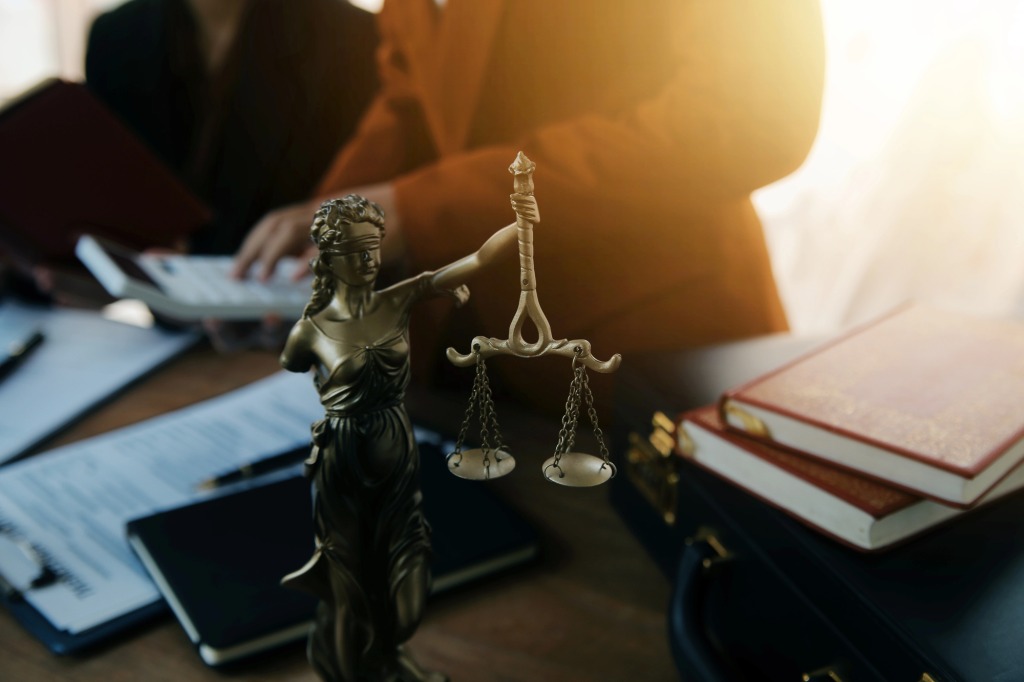 mediation client meeting lawyer consulting government help businessman male lawyer