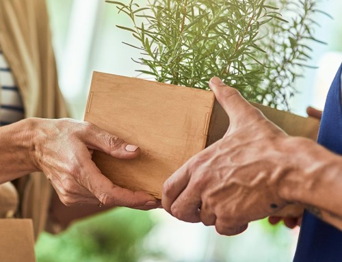 Returning a Christmas Gift: Know Your Rights in 2025